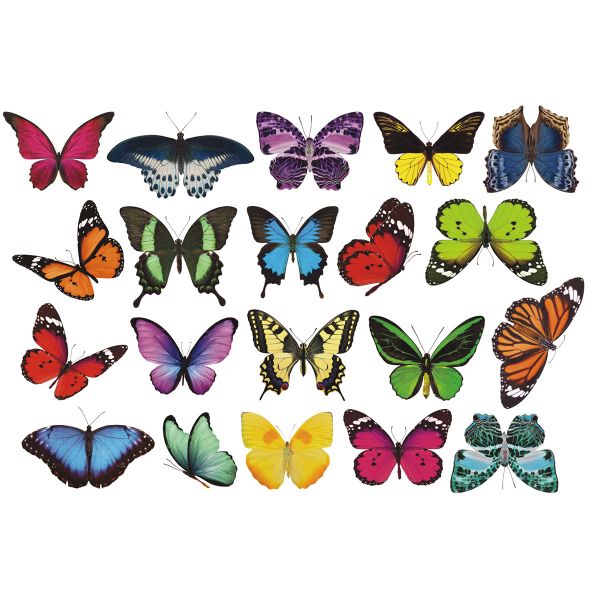 MeiView Window Decals (Not Stickers) - Butterfly Decal (Set 2)