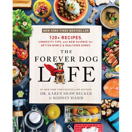 The Forever Dog Life Image