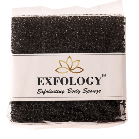 Body Exfoliating Sponge Image