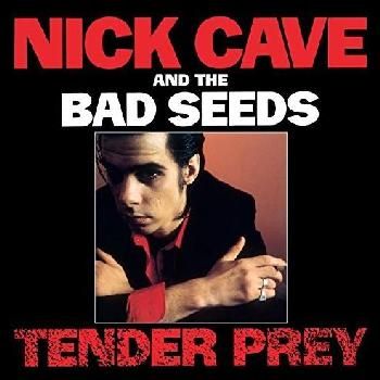 Tender Prey (Vinyl)