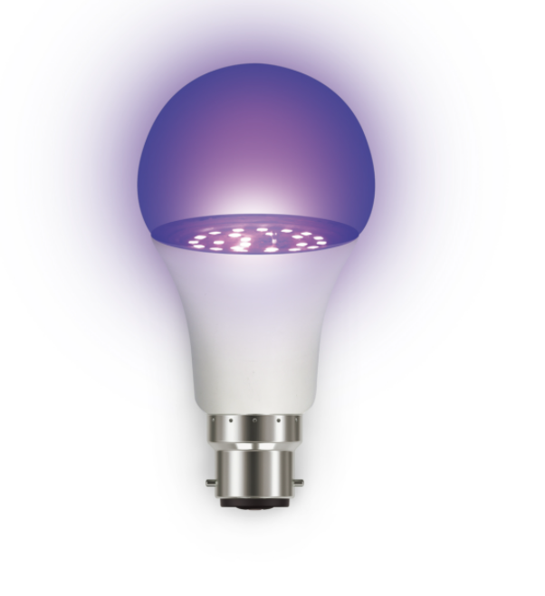 5 pack B22 Germ Sterilising UV Ultraviolet LED Bulb 9w Buy Online