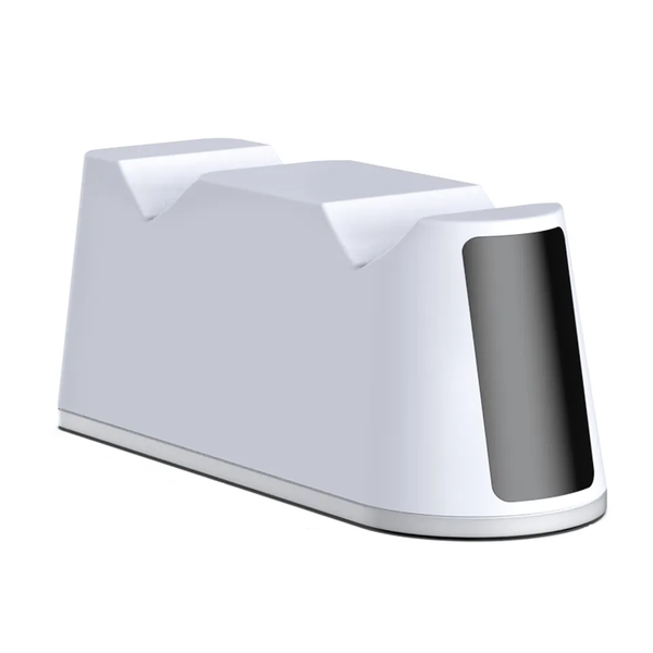 Dual Controller Charging Station with RGB Fast Charging Compatible with PS5