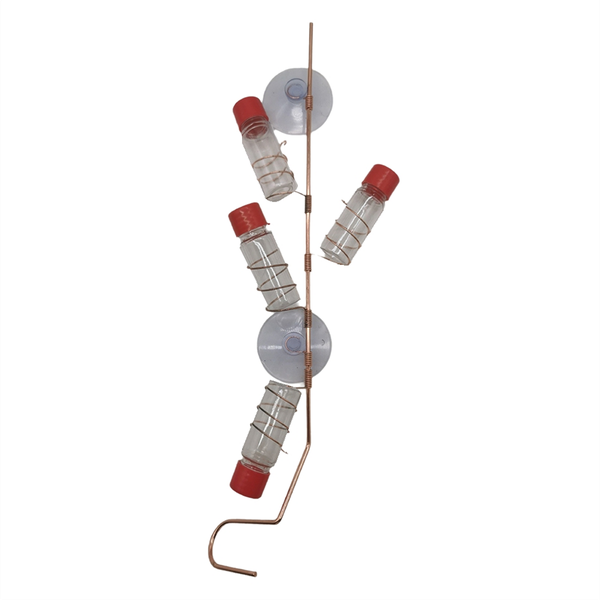 Window Bird Feeder Feeder Animal Window Bird Feeder Suction