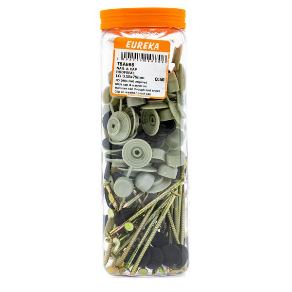EUREKA Roof Nail with EVA BondedWasher &amp; Nylon Cap 3.55 x 75mm Q:50 T6A666