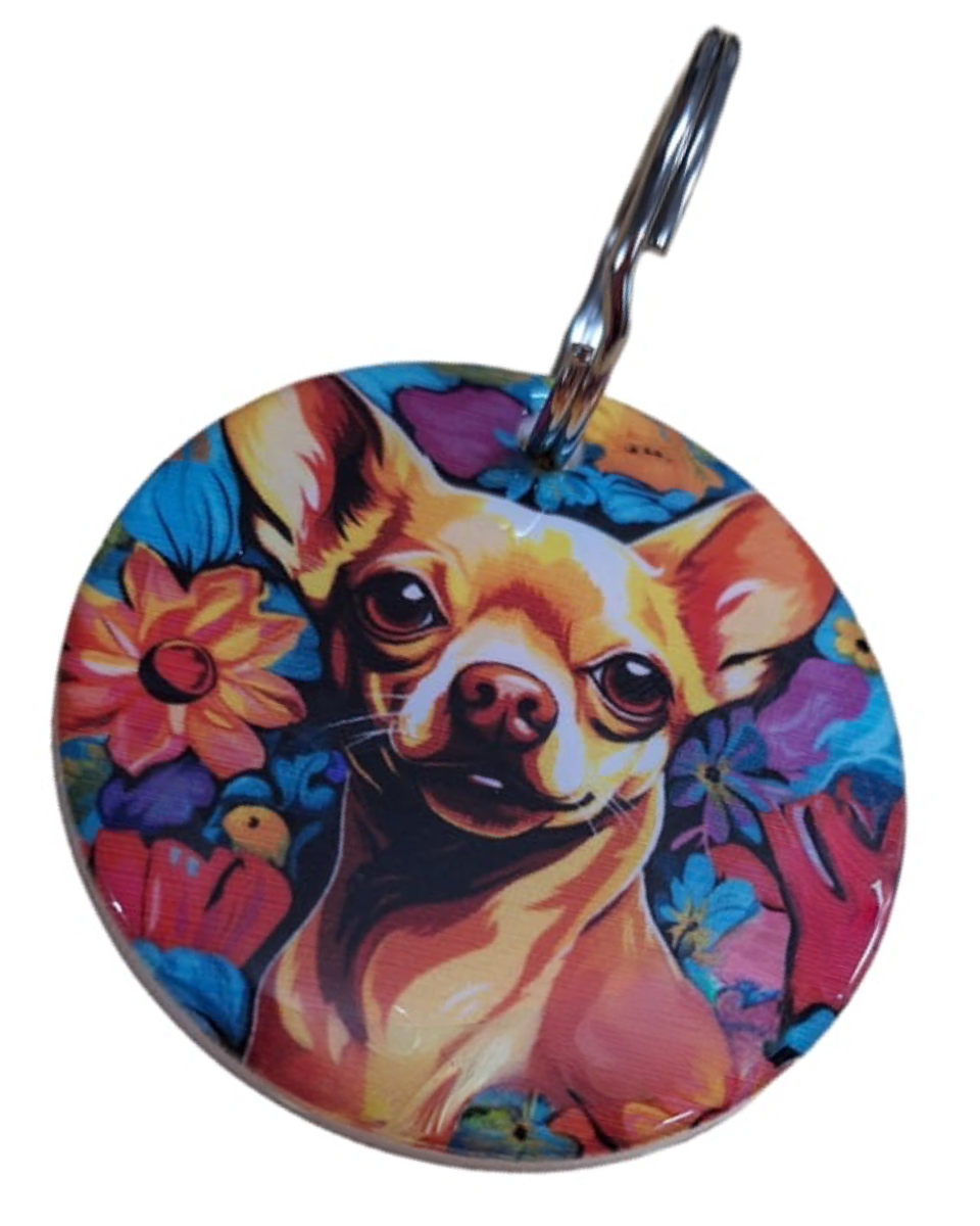 Small Dog Shop In Nashik Price