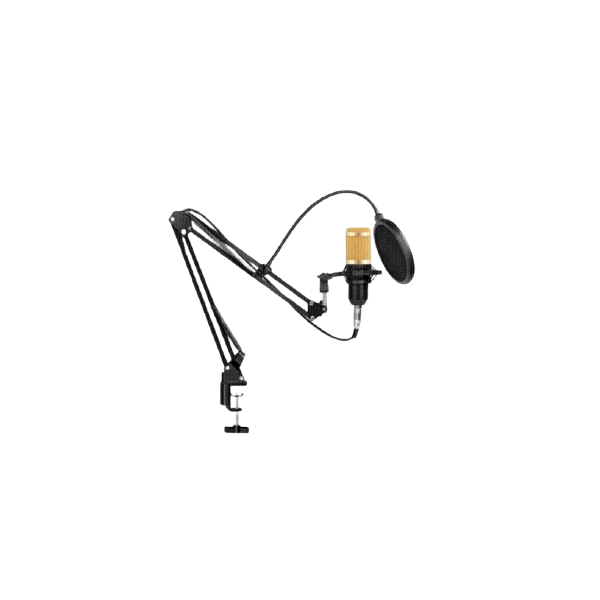 Professional condenser microphone - black &amp; gold