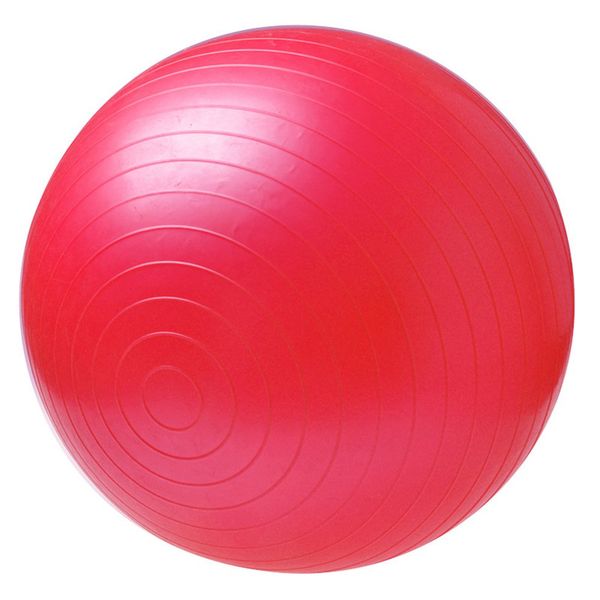 Yoga Pilates Gym Exercise Balance Ball with Pump – Silver 65cm