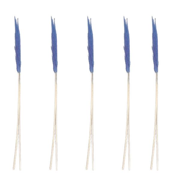 Aphiwe 5 Faux Pampas Grass Plumes