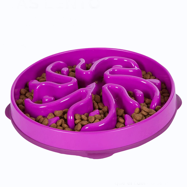 Feeder Slow Bowl, Slow Feeder Dog Bowl, Drop-Resistant, Easy Clean, Large