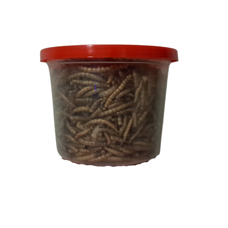 Dried Mealworms Vale Plastic Tub Image