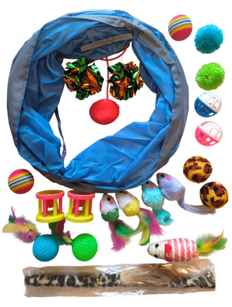 Cat Teaser Toy Set with Plush Mouse, Teaser Wand, Tunnel and More