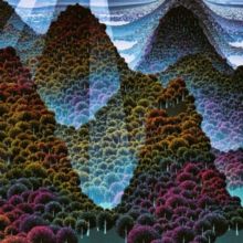 100,000 Whys (Vinyl / 12" Album)