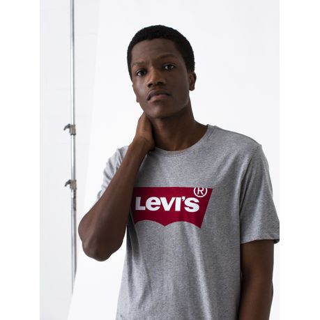 Levi's® Men's Graphic Set-In Neck T-shirt (Grey Tee) | Buy Online in South  Africa 