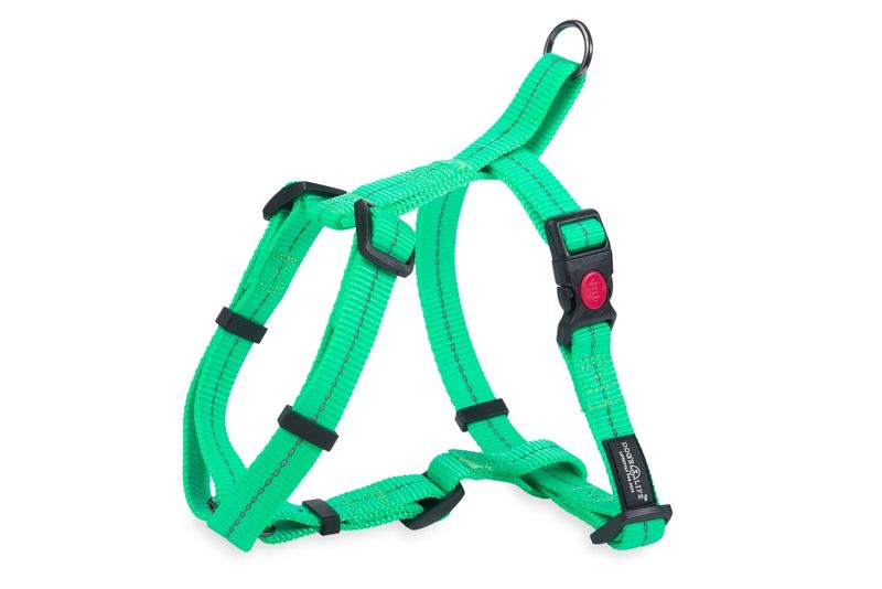 Reflective SuperSoft H Harness Spring green