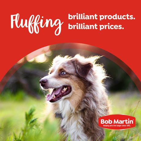 BOB MARTIN Clear Fly Repellent Spray for Dogs 200ml Shop Today. Get it Tomorrow takealot