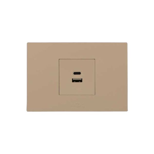 Usba+Usbc 2.1A Outlet 2x4 Champagne Orion Pre-Assembled