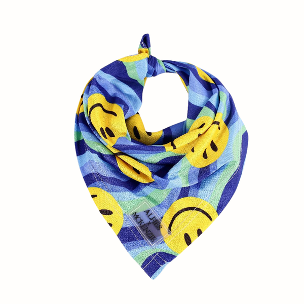 Alfies Breezie Dog Bandana Beachin Good