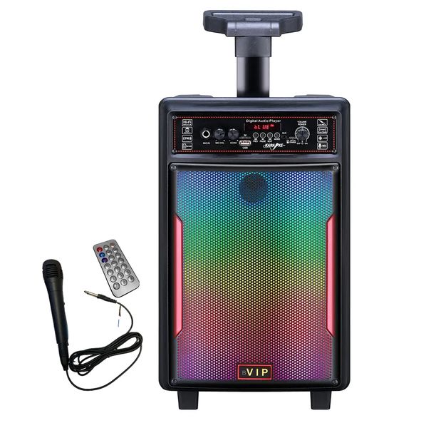 8" Wireless Portabel Speaker with microphone, remote, color lights JT828