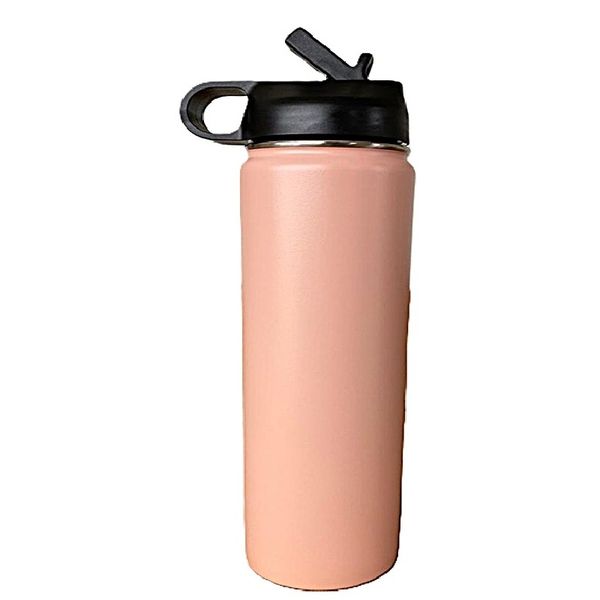 Stainless Steel Insulated Water Bottle - Straw/Chug Lid - 700ml