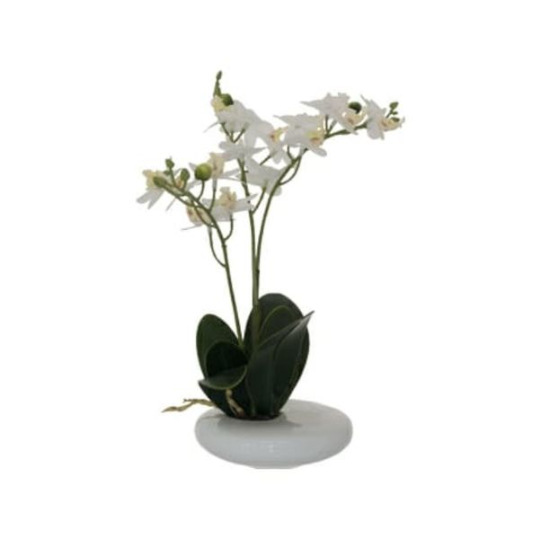 Be Classic H White Real Touch Orchid 30cm