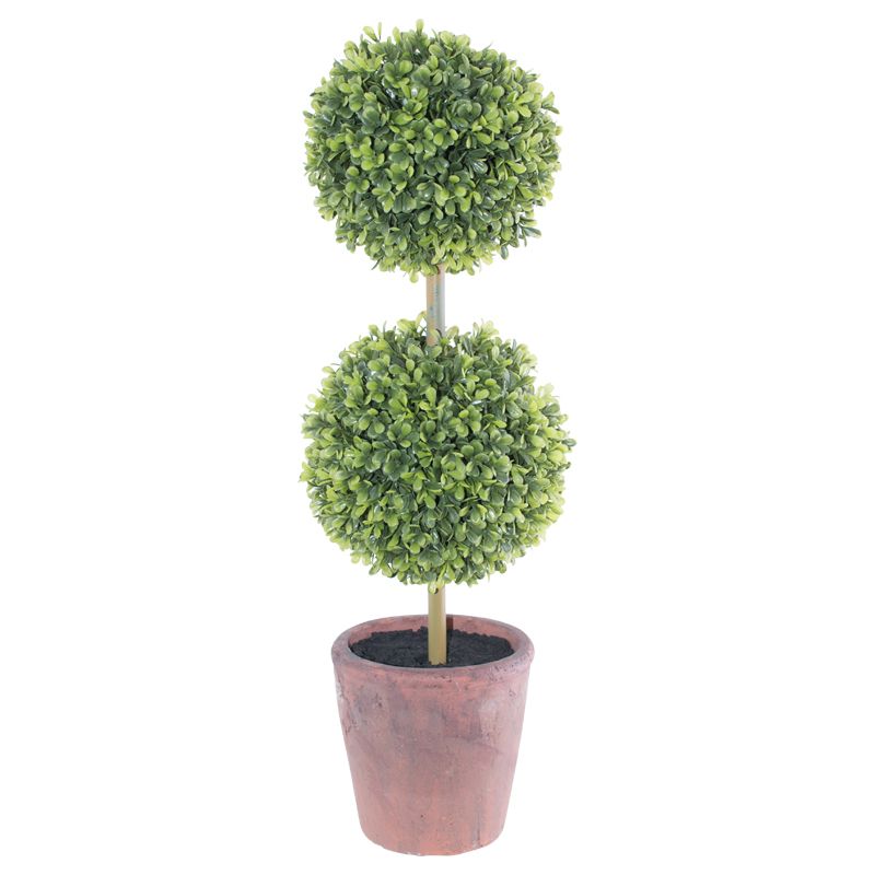 MC - Double Boxwood Topiary Tree | Buy Online in South Africa ...