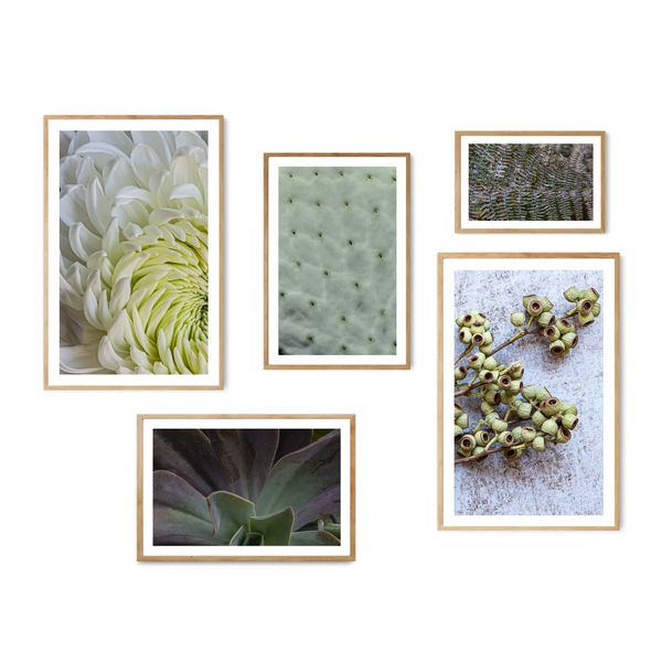 Cape Art Wall Art CURATED 5 Piece In The Garden