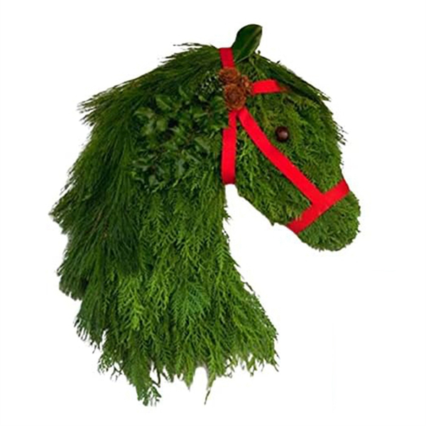 Horse Wreaths for Front Door Beautiful Christmas Horse Head Christmas Train