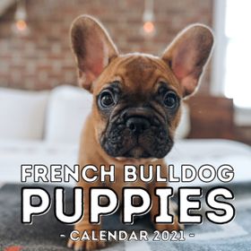 French Bulldog Puppies Calendar 2021: 16-Month Calendar, Cute Gift Idea ...