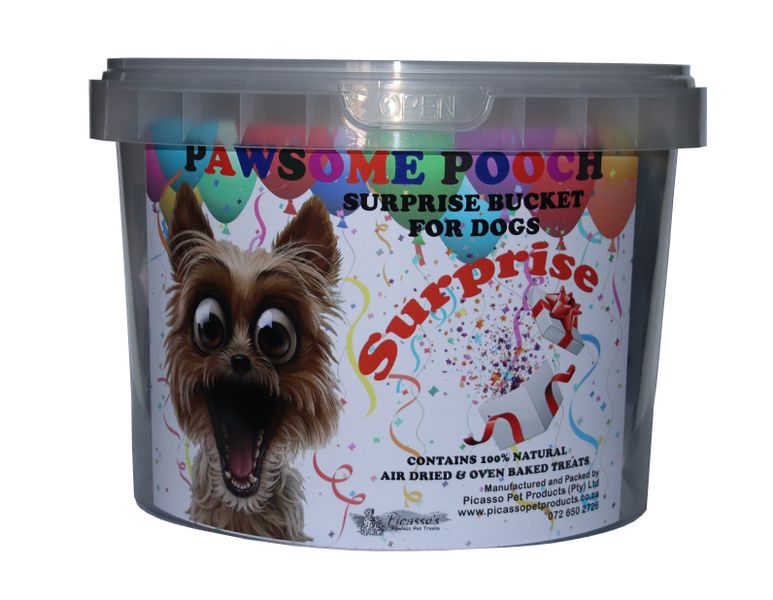 Picasso's - Surprise bucket for Dogs