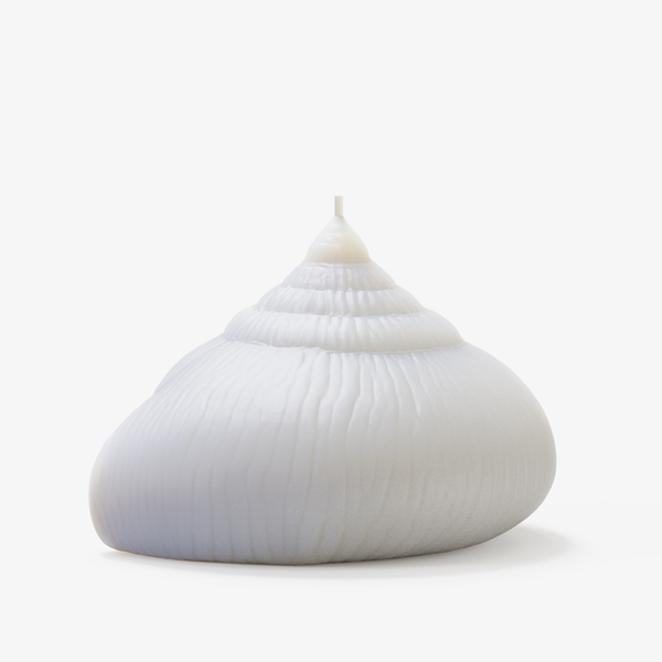 Sundial Shell Candle