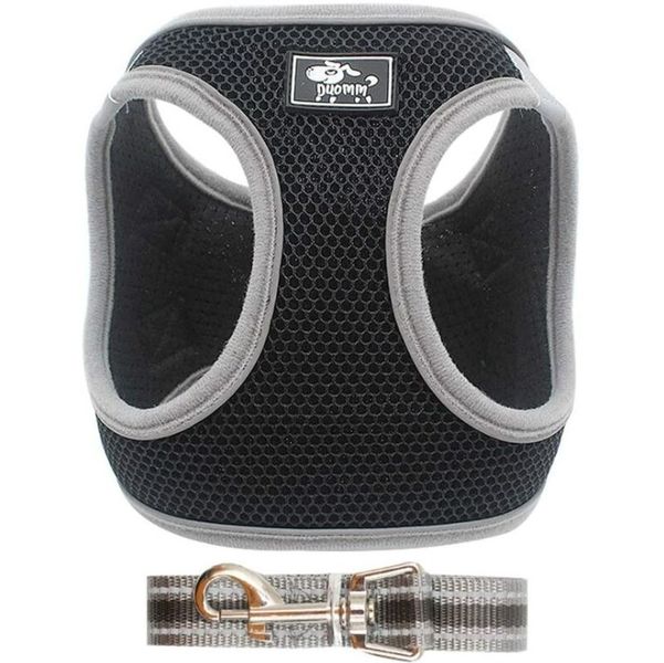 Black Dog Harness Vest &amp; Leash for Small to Medium Dog &amp; McDog(TM) Key Ring