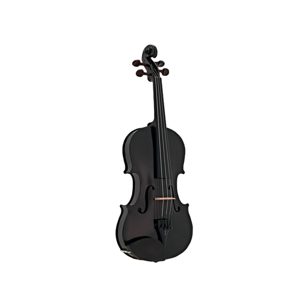 Lamour 4/4 Carbon Fibre Violin W/Case Combo