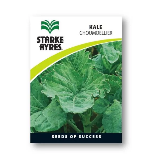 Starke Ayres Kale Seeds Polypack - 2 Pack