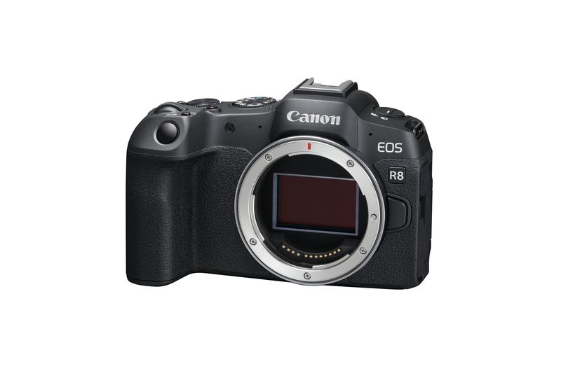 Canon EOS R8 Mirrorless Camera Body Only