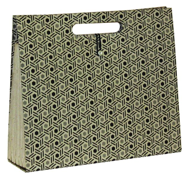 Kraft Concertina Carry Case 12 compartment