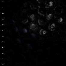 Ice Melt (Vinyl / 12" Album)