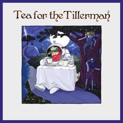 Tea for the Tillerman 2 (Vinyl / 12" Album)