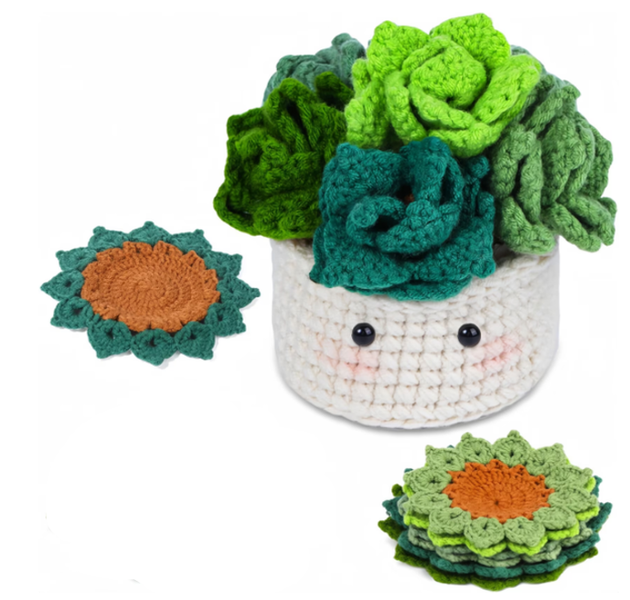 Beginner's Crochet Starter Kit, Premium Yarn, Complete Crochet Tool Set