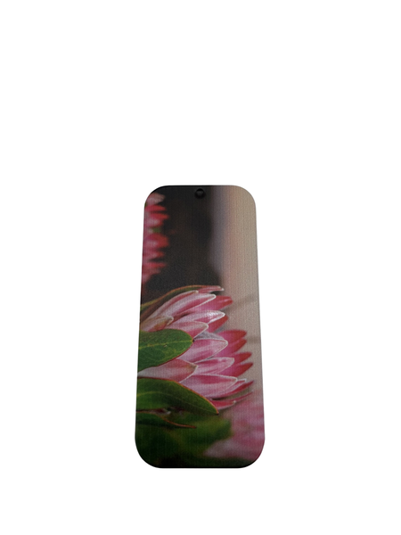 Mints Pink Protea