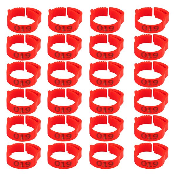 Pet Bird or Chicken Leg Identification Collar Tags Set of 24 (2cm)