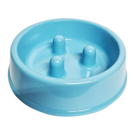 Slow Feeding Bowl Medium | Shop Today. Get it Tomorrow! | takealot.com