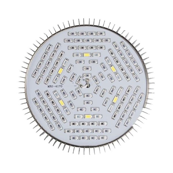 80W Grow Bulb - Ideal for Herbs, Flowers &amp; Seedlings
