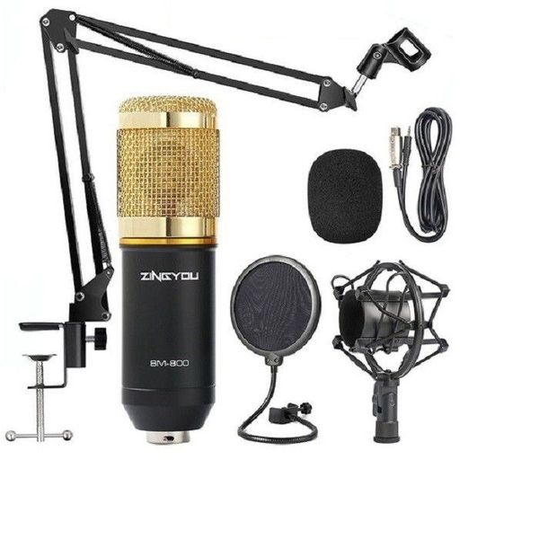 TG BM 800 Condenser Microphone Professional Mic Kit Gold