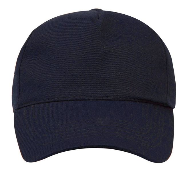 Dad Hat - Navy image