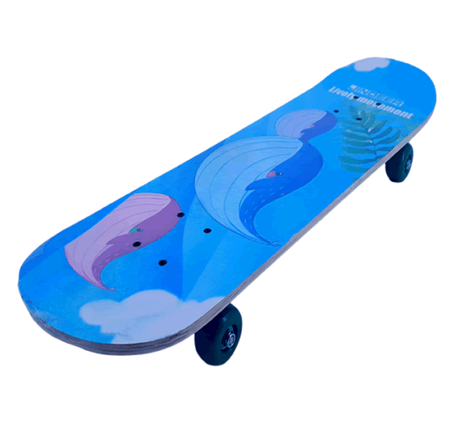 Urban Cruiser Skateboards-70cm