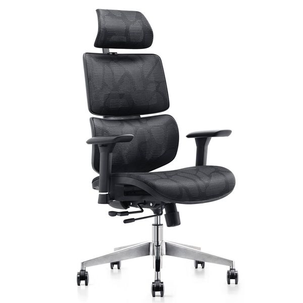 Omega Ergonomic Chair