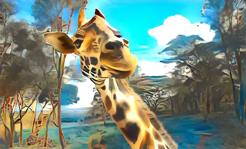 Canvas Wall Art - Giraffe Selfie Artwork