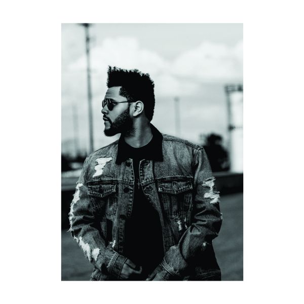 The Weeknd Black and White - A1 Poster