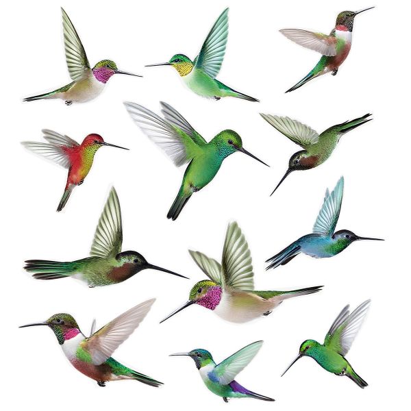 MeiView Window Decals (Not Stickers) - Hummingbird (12 Decals)