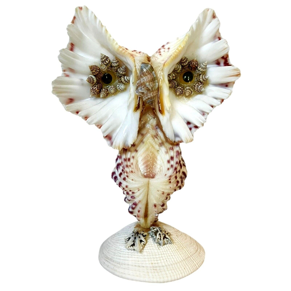 Mento Sea Shell Owl Sculpture